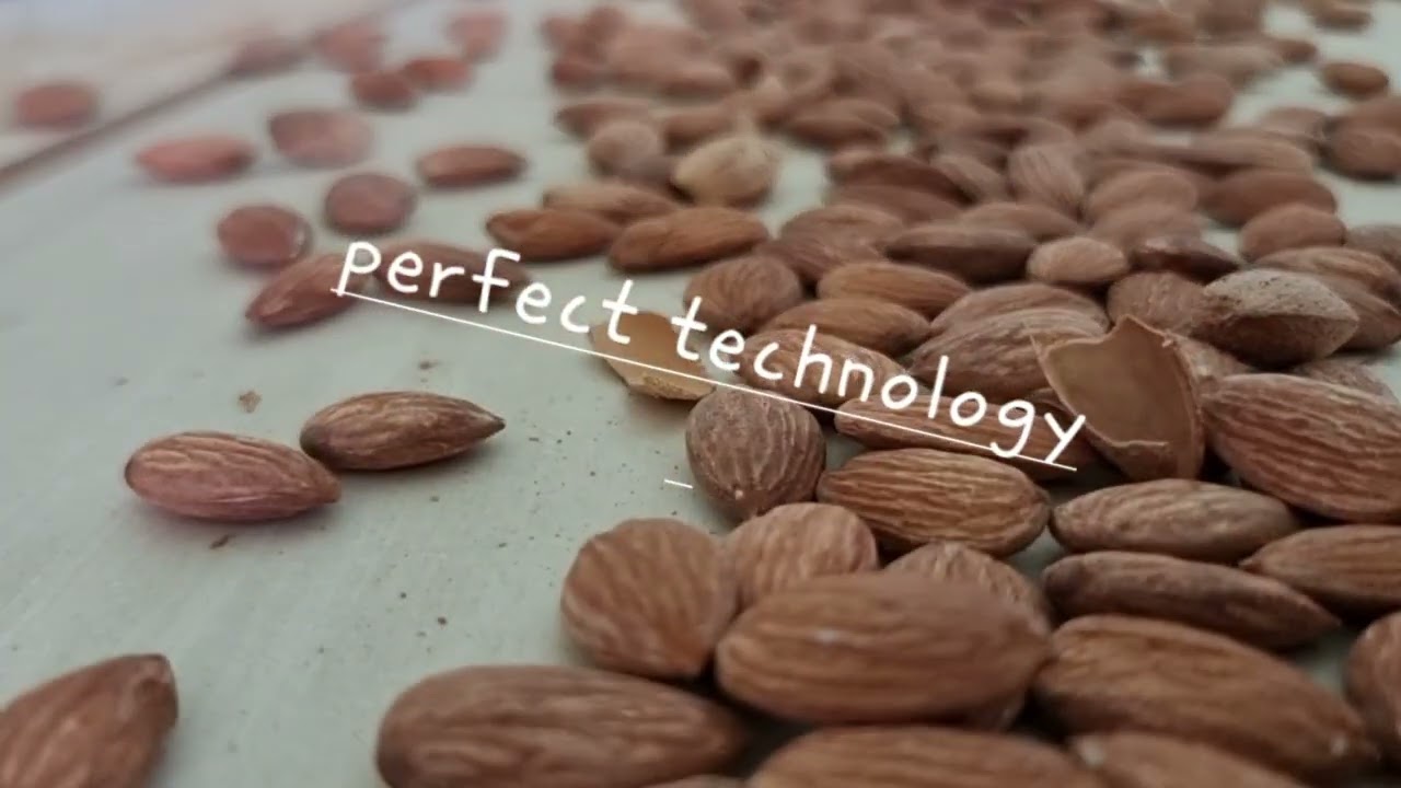 Almond Processing Plant med by perfect technology rajkot