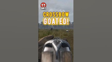 DayZ: The Crossbow Is Actually Good