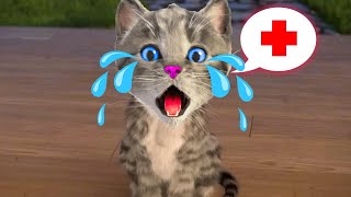 Little Kitten Adventure Cartoon Video - Funny Cat And Animals On A Learning Journey