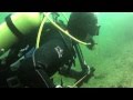 Гранкарьер Александрия, дайвинг подводная охота
