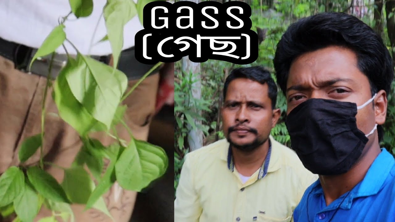 ,🔥🔥Gass //Adivasi Production Jangli madichine//Gas Me Ka Karbo