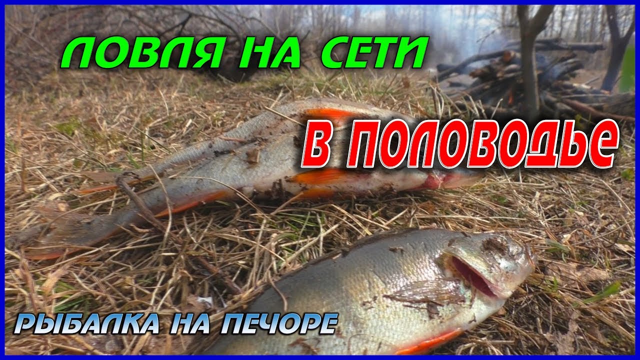 ловля карася сетями весной видео ловля карася сетями весной видео