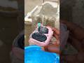 JBL go 4 brr brr patapim