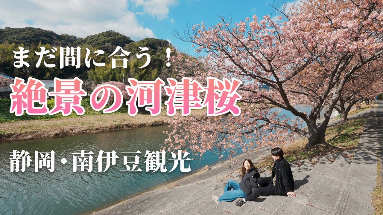 【伊豆観光】2026年最新版！静岡県南伊豆の絶景・河津桜を堪能/観光ガイド