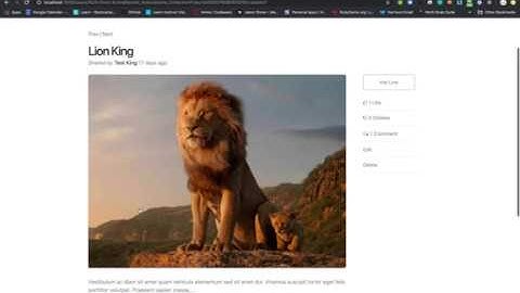 Rails JS Portfolio Project Walkthrough
