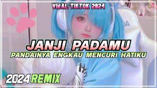 PANDAINYA ENGKAU MENCURI HATIKU | JANJI PADAMU |PANDAINYA DIKAU MENCURI HATIKU REMIX