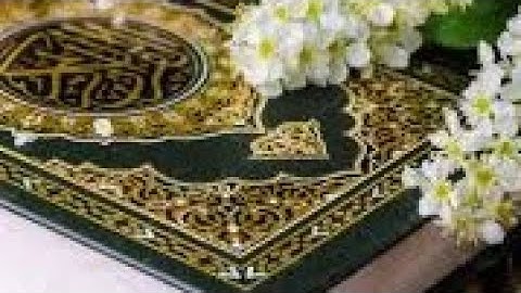 سورة الفتح بصوت فضيلة الشيخ بدر التركي حفظه الله 
