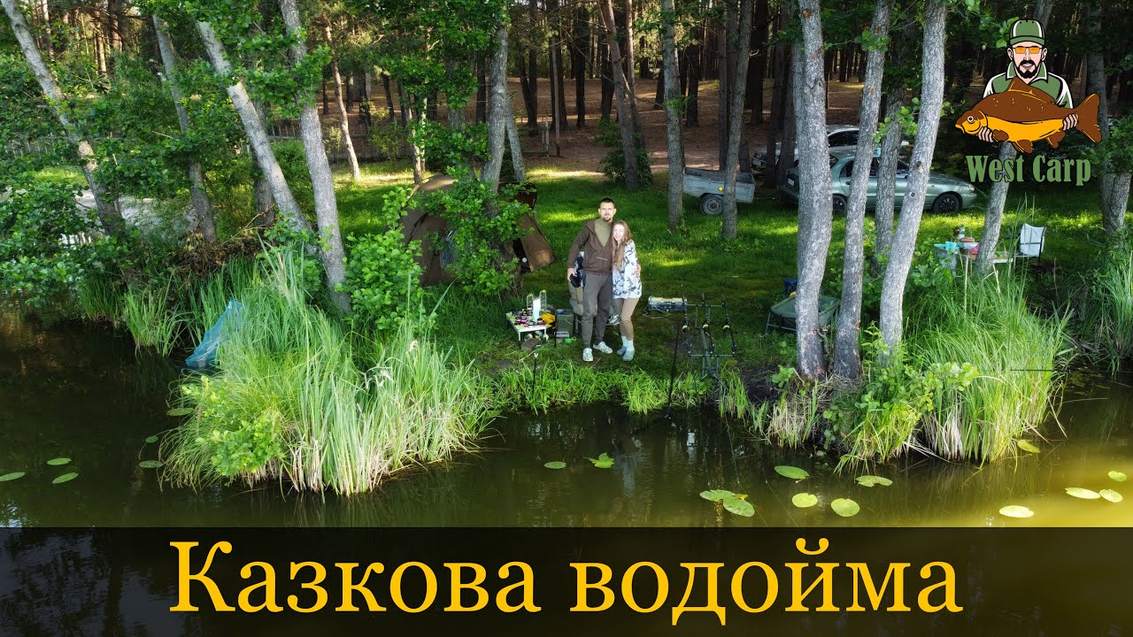 Дикі карпи на казковій водоймі