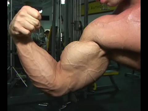 muscular endurance Jan 2010 ULTRA Plus bodybuilding clips