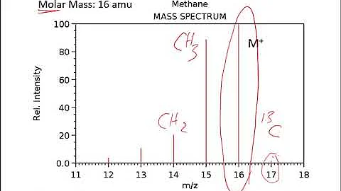 Introduction to Mass Spectrometry