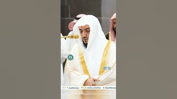 تلاوة خاشعة 🕊 سورة الفيل 🕊  #للشيخ .د #الوليد_الشمسان