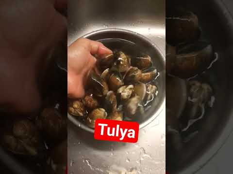 Malàlaki Food Trending Viral Viralvideo Shortvideo Shorts Short Viralshorts