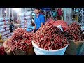 Amazing big chili market  all kind of dry red chillies  spice market
