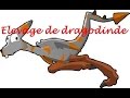 [Dofus] Tuto - comment bien commencer son élevage de dragodinde
