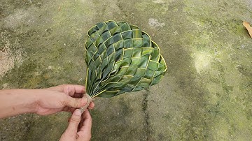 Hướng dẫn làm cái quạt bằng lá dừa 2