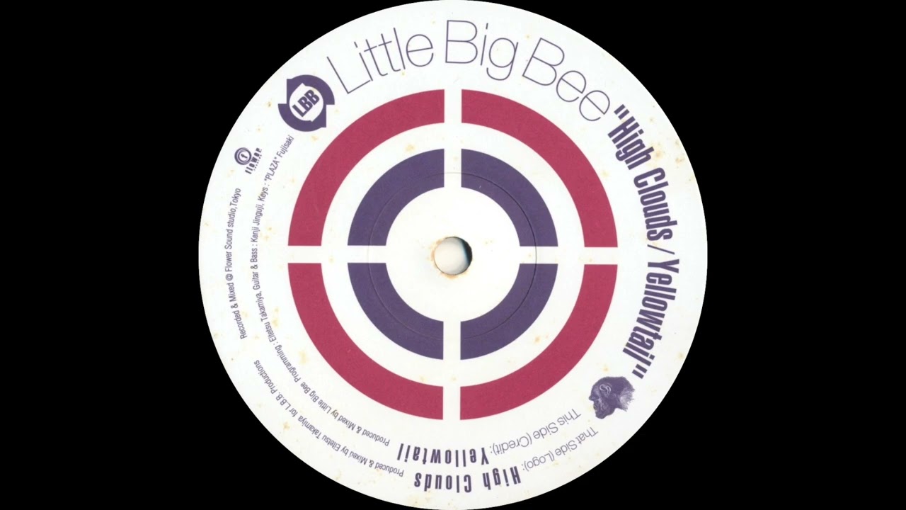 Little Big Bee - High Clouds - YouTube