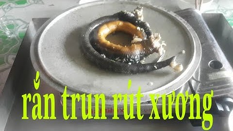 Rắn trun rút xương