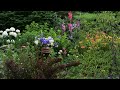 June Garden Tour // Northlawn Flower Farms