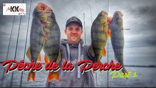 Pêche de la perche : en octobre sur le lac de Lacanau part 1