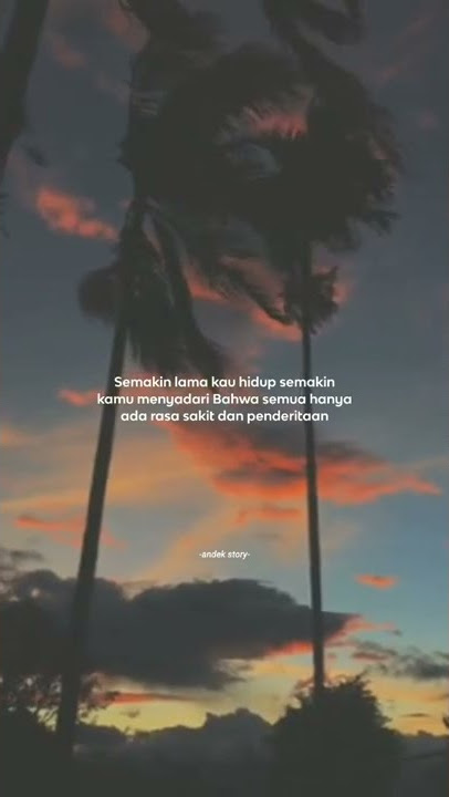 Story Wa 30 detik aesthetic keren