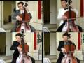 Master of Puppets 4 parts played by 1 cellist