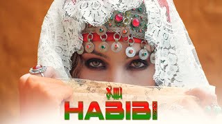 حبیبی - ZNB - ⵃⴰⴱⵉⴱⵉ ( موزیک ویدیو اختصاصی ) | (فيديو كليب) - حبيبي -ⵥⵏⴱ
