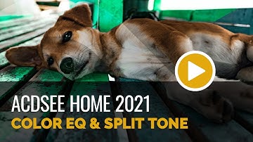 Introducing Color EQ & Split Tone in ACDSee Photo Studio Home 2021