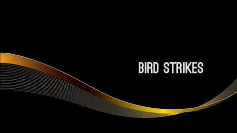 CATS ATPL Operational Procedures - Bird Strikes