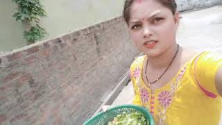 Indian housewife daily vlog