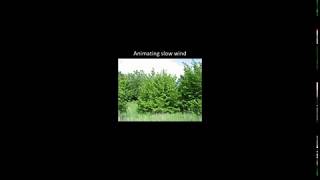 Singan For Single Image Animation