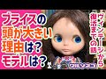 1103【ブライス】実は○○がインスピレーション元！何故ブライスが頭が