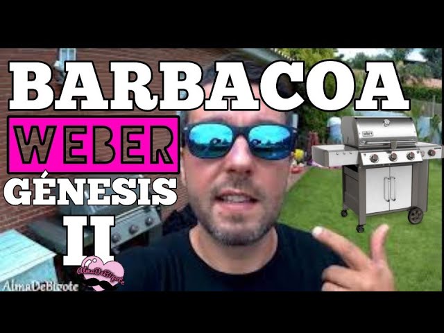 Barbacoas weber y su historia en  - barbacoa - barbacoas - barbacoa  weber - barbacoas weber (2) - Mi barbacoa