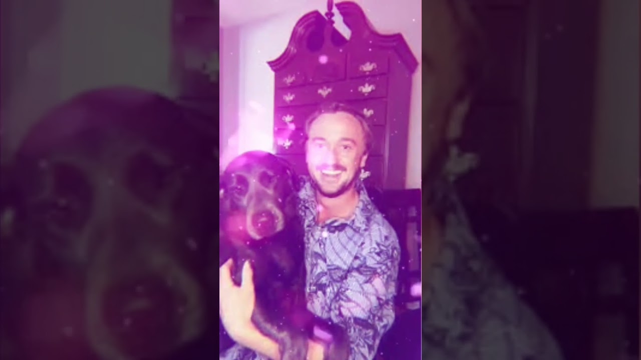 Tom et sa meilleure amie Willow ✨ sa fifille