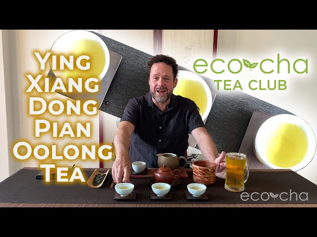 Eco-Cha Tea Club: 75 - Ying Xiang Dong Pian Oolong Tea class=