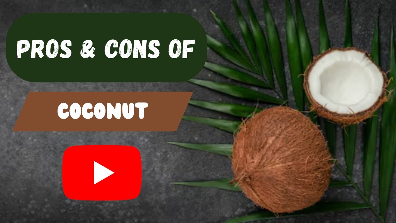 Pros and Cons of Coconut Explained English Subtitles Benefits