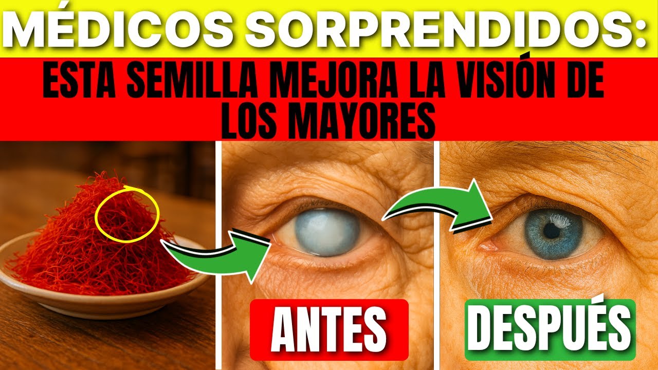 👉 ¡Seniors! Esta Semilla Protege Tus Ojos y Retina Como Ninguna Otra ...