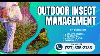 Outdoor insect management Dunedin, FL