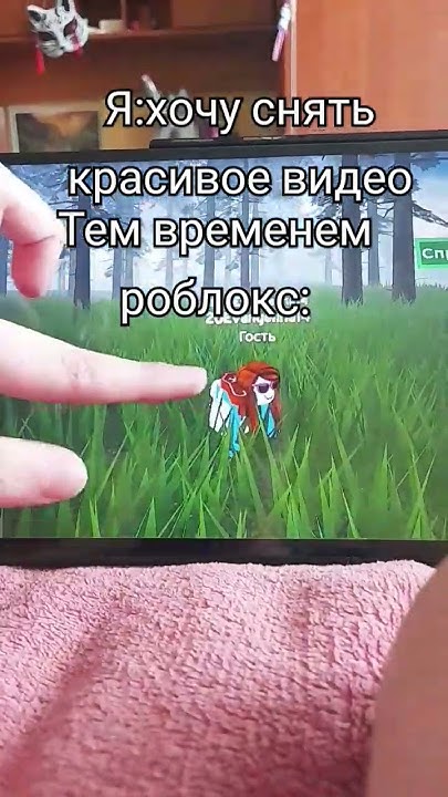 #спорт#кошка#квд#квадробика - YouTube