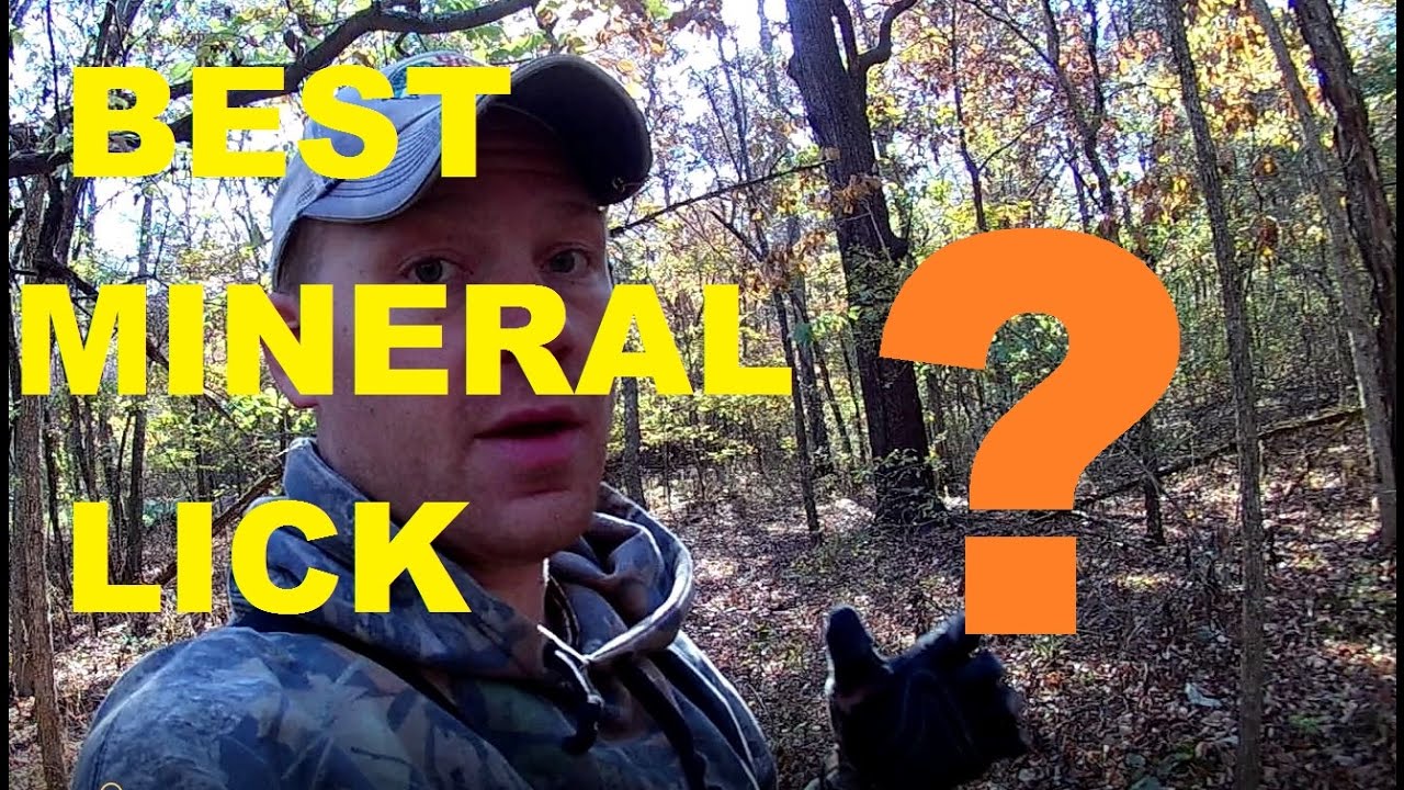 MINERAL LICK FOR DEER - WHO_TEE_WHO