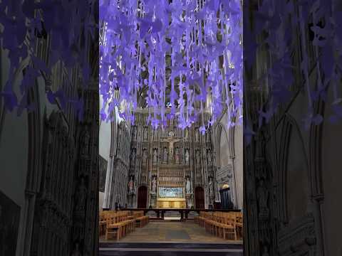 Peace Doves flying high at St Albans Cathedral 🤍#shorts #travel #stalbans