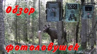видео: Эксперимент с фотоловушками Филин mini 600 Филин HC-700Ah,Bushnell на солонцах. Их краткое сравнение картинка: Эксперимент с фотоловушками Филин mini 600 Филин HC-700Ah,Bushnell на солонцах. Их краткое сравнение