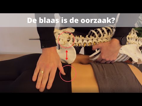 Video: Wie zei dat geld niet ruikt?