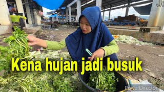 KALAU MUSIM HUJAN BANYAK SAYUR YG JATUH⁉️ ALHAMDULILLAH MAKAN SAYUR LAGI