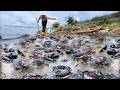 Lake Crabs Catching - I scan &amp; found many crabs hole in rainy day #fishing #crab