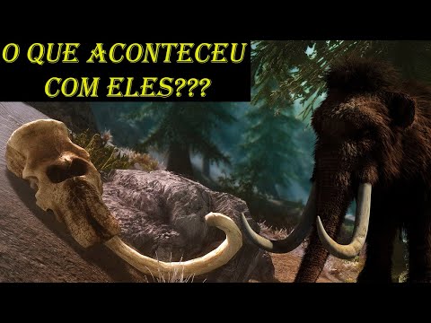 Vídeo: Por Que Os Mamutes Estão Extintos? - Visão Alternativa