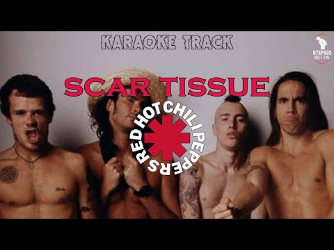 Red Hot Chili Peppers | Scar Tissue (HQ Karaoke)