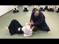 Aikido: Aiki in Nikyo