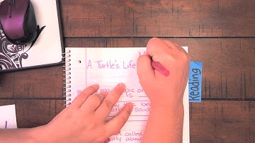 Setting Up your reading notebook