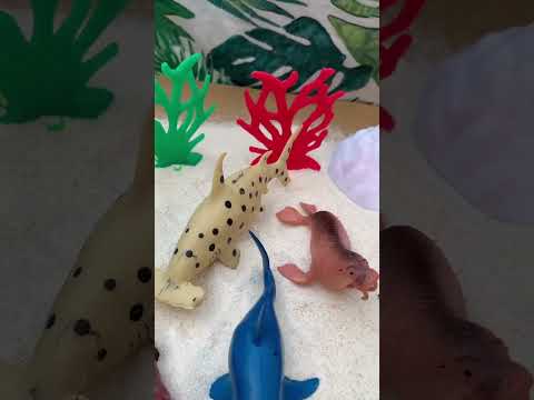 sea animal toys! #shorts #seaanimalstoys #underwater