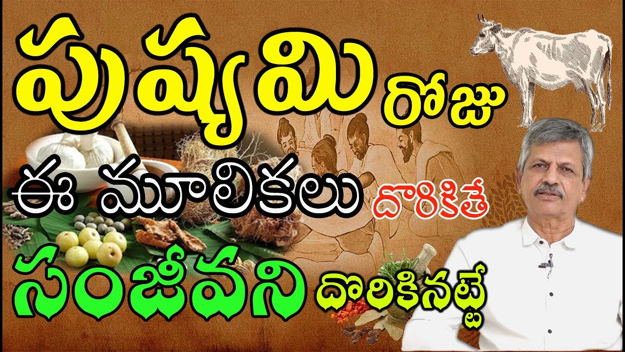 If you find these herbs on Pushyami day, you will find Sanjeeva |B.Anjaneya Raju #SreeArogyaSannidhi